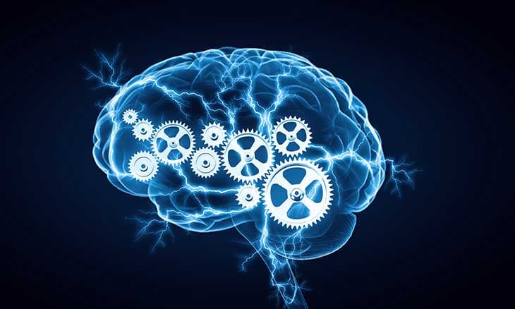 🧠 Մարդու ուղեղ. Բացահայտեք մարմնի ամենախորհրդավոր օրգանի գաղտնիքները