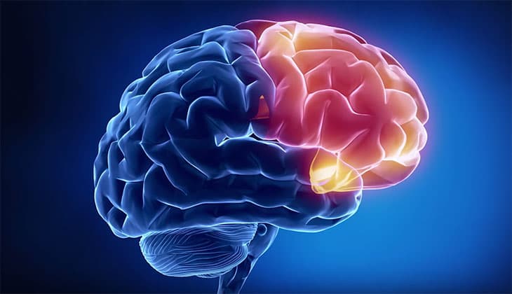 🧠 Մտավոր ունակությունները հզորացնելու 5 արդյունավետ եղանակ