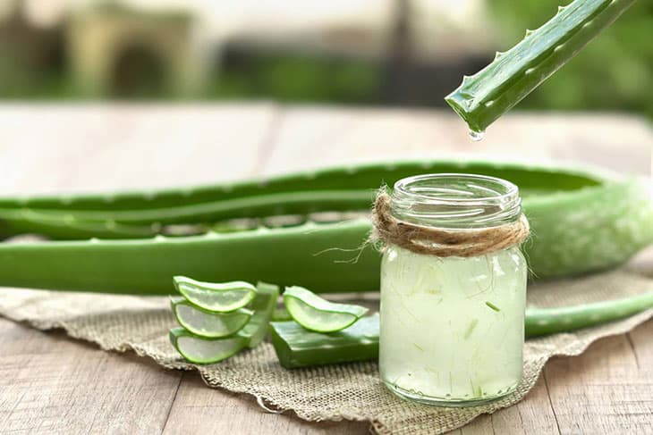 🌱 Ինչպե՞ս օգտագործել ալոե վերան. բույսի 5 օգտակար հատկությունները