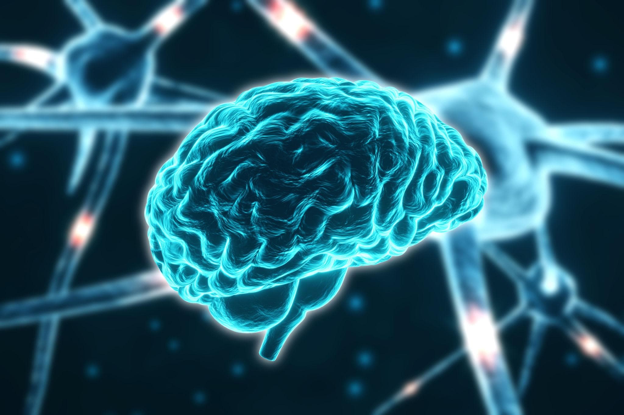 🧠 Ինչպես է իրականում աշխատում մարդու ուղեղը․ 7 զարմանալի բացահայտում