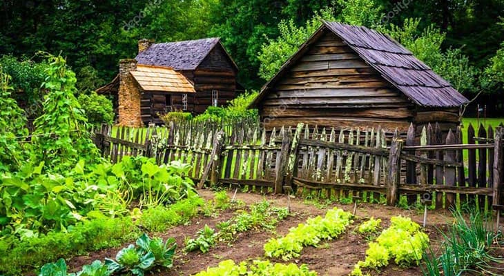 🌿 Հոգատարություն բնության հանդեպ. գործնական խորհուրդներ էկոլոգիական կենցաղի համար